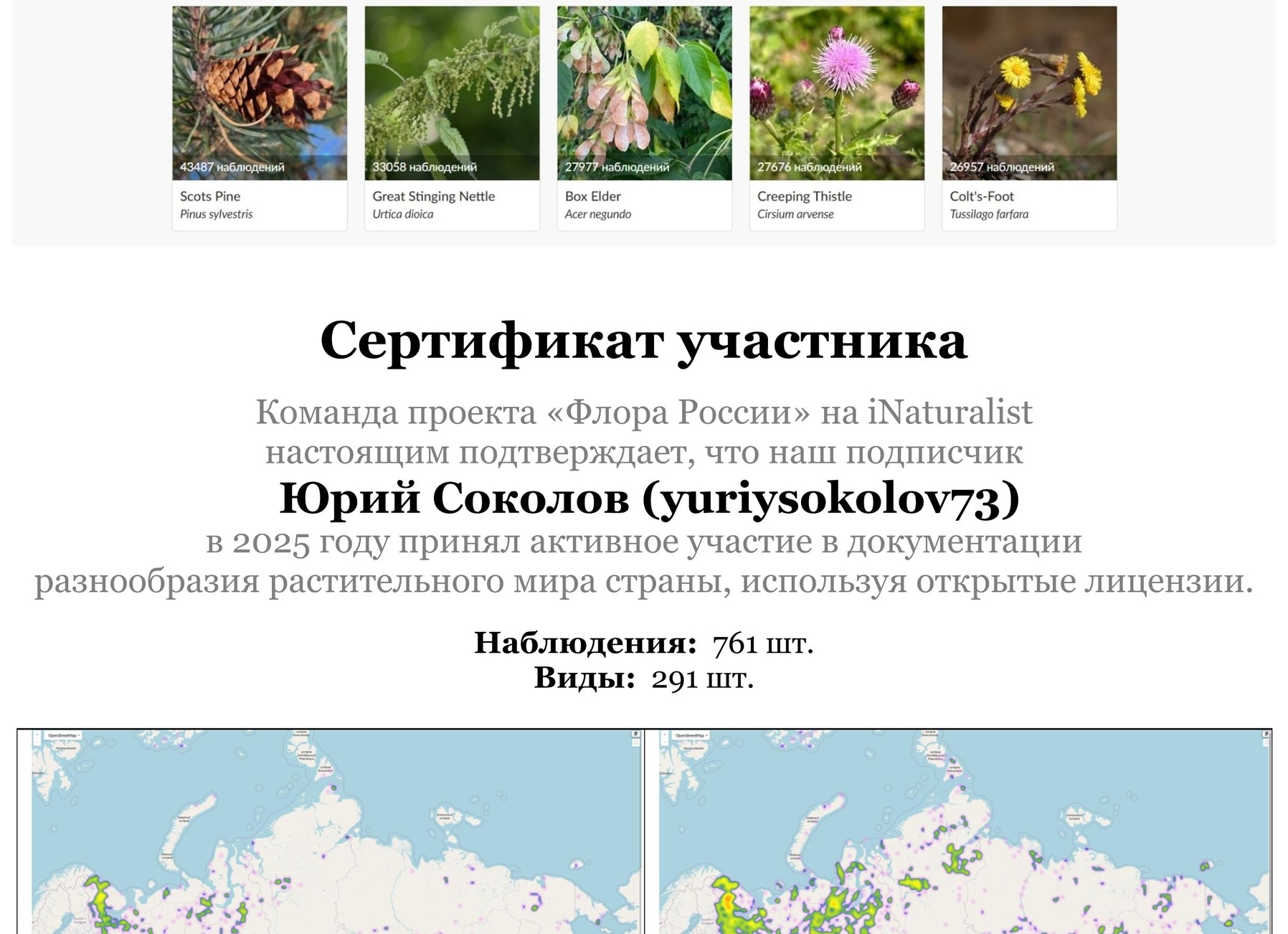 Решили найти подрядчика на разработку сайта или приложения и не знаете, как выбрать?