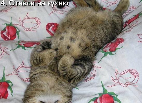 Первая помощь при обмороке: ТОП-10 лучших сайтов, где можно заказать доклад или реферат