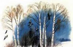 Михаил Пришвин: Птицы под снегом Как нарисовать птицы под снегом м пришвин
